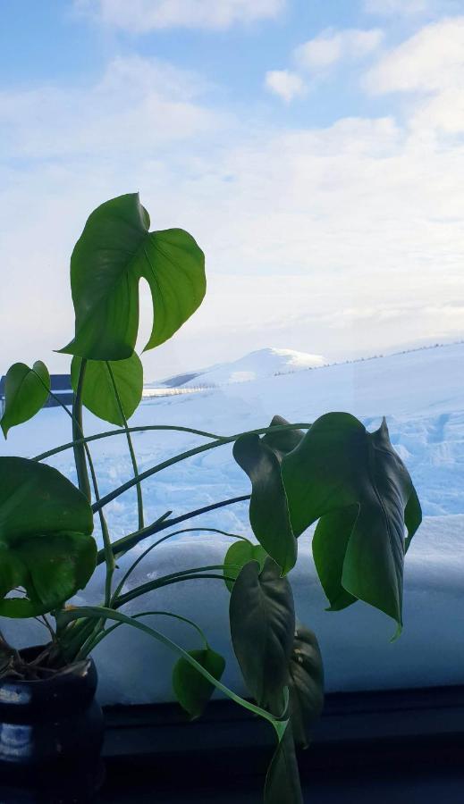 Svartaborg Húsavík 외부 사진
